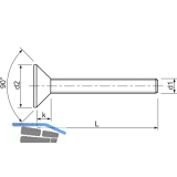 ISO14581 8.8 M 6x45 Torx 30 verzinkt Senkschraube