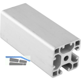 Aluminium Nutprofil ISP Nut 8 L43 leicht 40 x 40 mm 2 Nuten