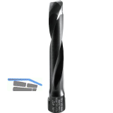 FESTOOL Domino-Fr�ser HW 12 x 70 mm