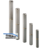 CHARMAG Bandrolle 10 x 60 mm, Stahl blank