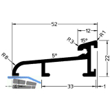 GUTMANN T�rschwelle Weser 52 L=6000 mm auf Ma� 52 x 22 mm Alu silber eloxiert