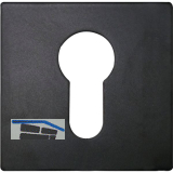 SOLIDO Zylinderrosette PZ flach eckig, Edelstahl schwarz matt