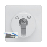 HAUTAU Schl�sseltaster ST 010 f�r Profilhalbzylinder, 24V/230V, Kunststoff wei�