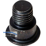 DORMAKABA Schraube f�r Gleitst�ck ITS 96 G96 N20/ G 96 GSR