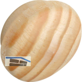 Holzabdeckkappe � 19 mm, Zapfen � 15 mm, Zapfenl�nge 4 mm, Fichte roh