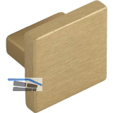 Knopf Dulis 35 x 35 mm, Tiefe 23 mm, Zinkdruckguss gold matt geb�rstet