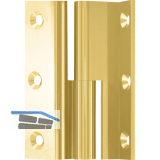 M�belband Kr�pfung D, Zylinderkopf rechts, 50x33 mm, Messing poliert