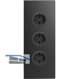 CARESSI Steckdosenelement 3ST29 3 Schukosteckdosen 2 USB-C Charger schwarz
