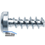 PLASFAST�-Schraube Halbrundkopf 3.0x25 TX10 Stahl verzinkt-blau