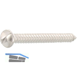 Einwegsicherheitsschraube - Halbrundkopf 5,5x32 mit Blechgew. - Edelstahl A2