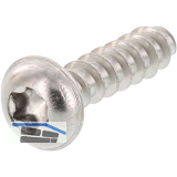 Thermoplastschraube Halbrundkopf mit Flansch 6.0x50 TX25 - Edelstahl A2