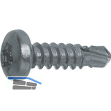 DIN7504N 4.8x 19 Torx25 verzinkt Linsen-Bohrschraube