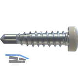 REISSER RP-r-LK-X REFABO Kantteilschraube 4.8x 20 Bimetall A2 - RAL9010