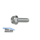 DIN7500DE (D) M 4x10 verzinkt gewindefurchende 6kt-Schraube mit Bund