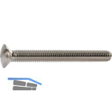 DIN964A M 5X 45 Messing vernickelt Linsenschraube