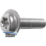 ecosyn-fix M 4x 10 Torx 20 Edelstahl A2 Flanschschraube f�r Apparatebau