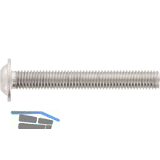 ~ISO7380-2 08.8 M 5x 8 verzinkt Linsenschraube mit Flansch TX25