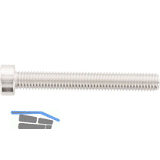 ISO14580 Zylinderschraube M 4 x 10 TX20 Edelstahl A2 ISR (DIN7984)