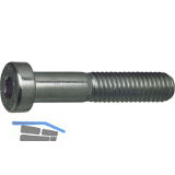 DIN7984 010.9 M 5x 10 blank Zylinderschraube niedriger Kopf, Innensechskant