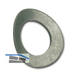 DIN137A M10 verzinkt Federscheibe gew�lbt