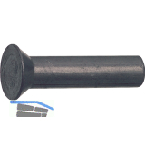 DIN661 6x 16 Stahl blank Senkniete