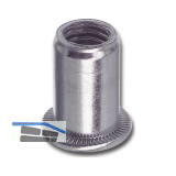 Feingewinde Blindnietmutter Flachkopf Unterkopfverzahnt M10x1x21 Stahl verzinkt