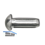 DIN1476 3x 6 verzinkt Halbrundkerbnagel