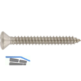 ISO14587 3.9x 16 Torx Edelstahl A2 Linsensenkkopf-Blechschraube