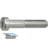 DIN7984 M 4x 12 Edelstahl A2-70 Zylinderschraube mit niedrigem Kopf, ISK