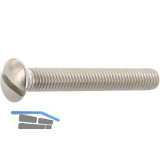 DIN964A M 5x 10 Edelstahl A2 Linsenschraube mit Schlitz