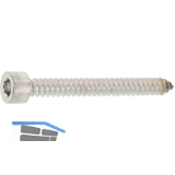 Blechschraube 5.5x 40 Edelstahl A2 mit Zylinderkopf ~912