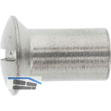 H�lsenmutter Linsensenkkopf M 5x 15 Edelstahl 1.4305 mit Schlitz