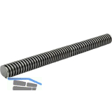 Trapez-Gewindespindel TR 16x4x1000 blank