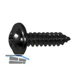 DIN968C 3.9x9.5 Phillips Kreuzschlitz verzinkt schwarz Blechschraube mit Bund