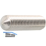 ISO4027 M 6x 10 Edelstahl A4 Gewindestift mit Spitze Innensechskant (DIN914)