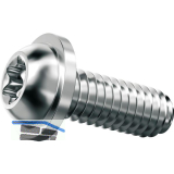 DELTA PT-Schraube Linsenkopf 5x 12 TX25 Stahl verzinkt-blau