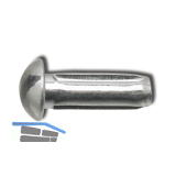 DIN1476 2x 5 verzinkt Halbrundkerbnagel