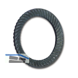 SCHNORR Sicherungsscheibe "S" M12 Federstahl blank