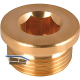 DIN908 G 1/4" Messing blank Verschlussschraube zylindrisches Rohrgewinde