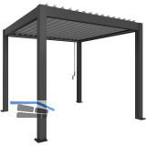 BIOHORT Pergola Gr. 4 x 3,5 dunkelgrau/silber