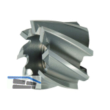 MAYKESTAG Walzenstirnfr�ser Type N, HSS-ECo5, 80/45/27 mm DIN 1880
