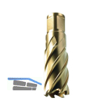 ALFRA Metallkernbohrer � HSS-Co-Eco mit Weldon-Schaft 19 mm DM=58 mm ST=50 mm