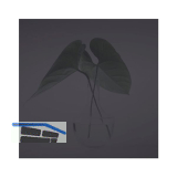 SOLIDO Glasmuster BlackDark 100x150 mm