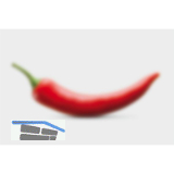 SOLIDO Glasmuster Reflo 100x150 mm