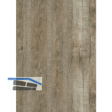 LICO Vinylboden Hydro Basic Eco Line, Eiche Fossil, 6,2 mm