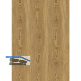 LICO Vinylboden Hydro Basic Eco Line, L�rche Vita, 6,2 mm