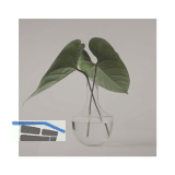 SOLIDO Glasmuster BlackShine 210x297 mm