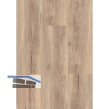 LICO Bodenmuster Fashion Line Herbsteiche Creme