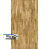 SOLIDO Schiffsboden Eiche kraftvoll, lackiert, 14 mm