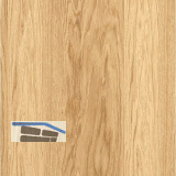 SOLIDO Smart Muster Dekor Eiche hell lackiert